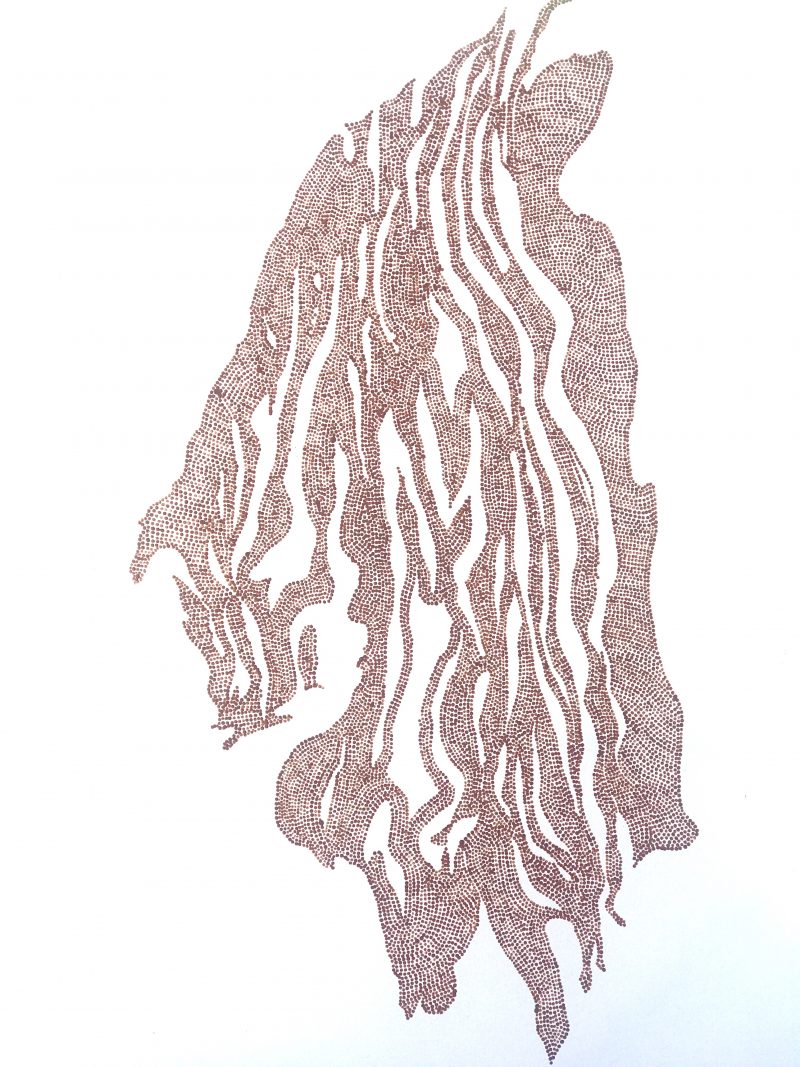 Negative Space Collection: GUMADA B (Spirit)