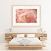 Pink Eucalyptus Blossom Framed Print Bernadette Meyers Art Lovers Australia