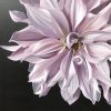 Radiance 61cmx61cm $750