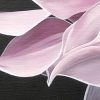 Radiance Detail