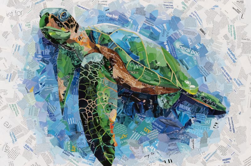 Blue Water Sea Turtle – Ltd Ed Giclee Print