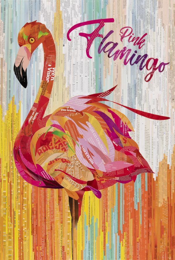 Sue Dowse Flamingo Primary