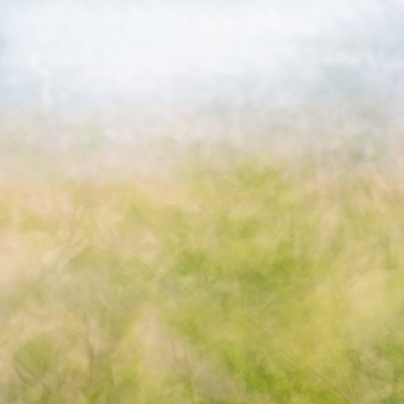 Transience – Ltd Ed Print