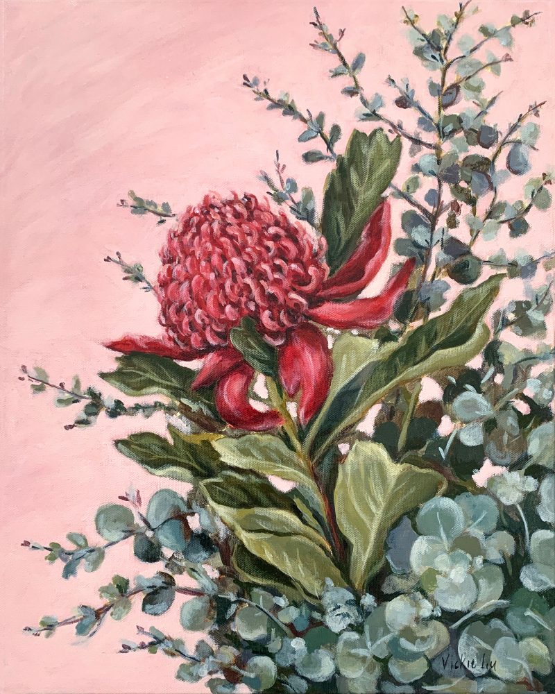 Pink Waratah