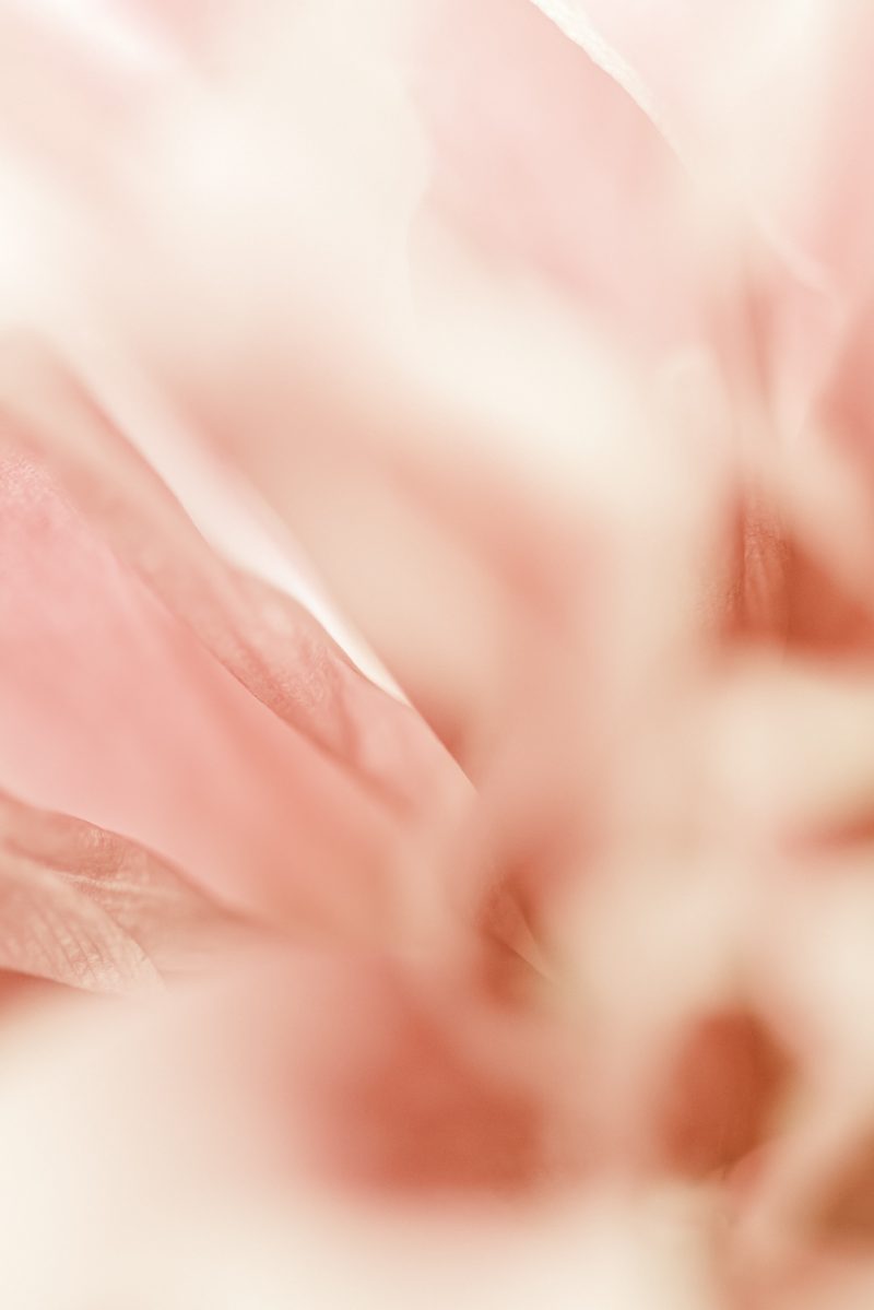 Voyage Edges — Ltd Ed Print