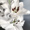 White Lilies 50 X 40
