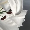 White Lilies Framed Detail 2