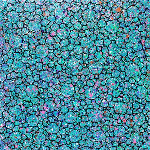 Coastal Country Garden Pebbles