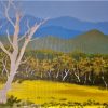 High Country 50x70