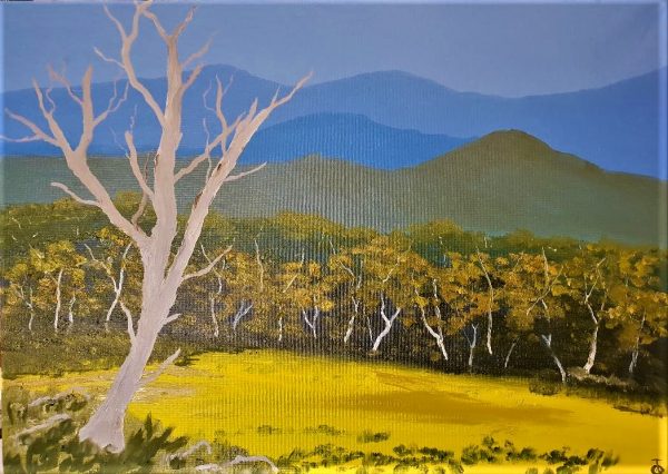 High Country 50x70