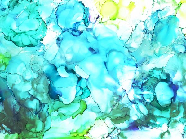 Img 1436 Inpixio Ij4t4xjx