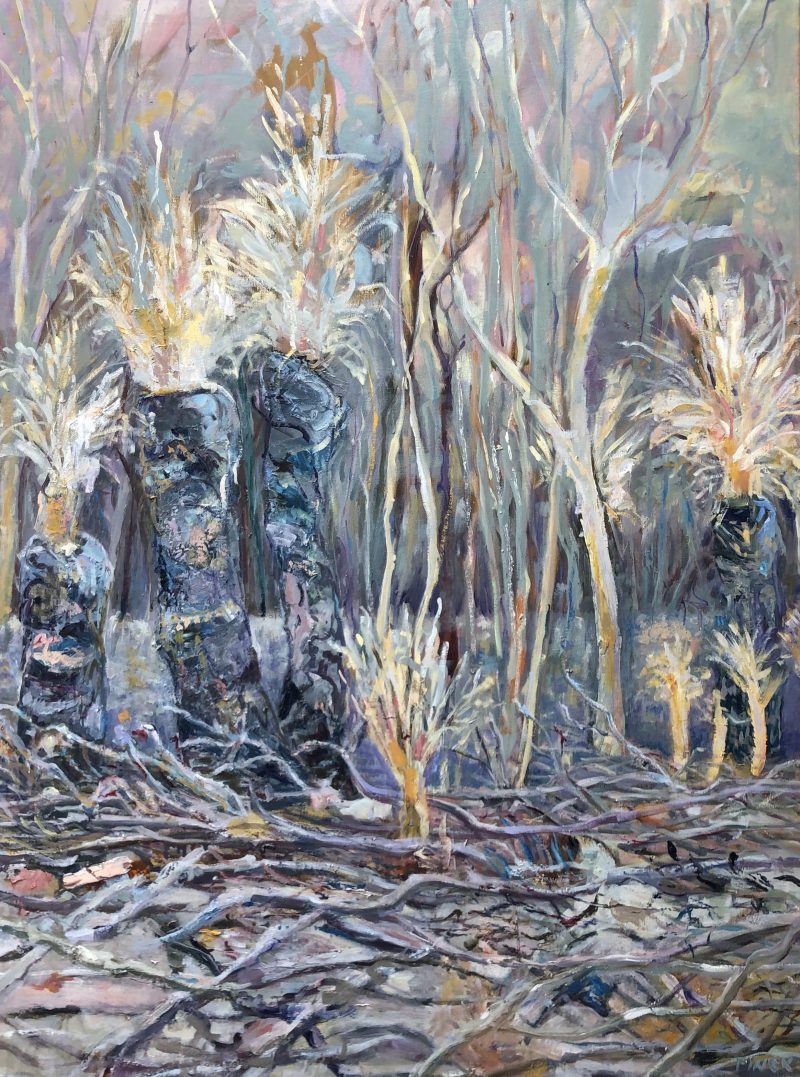 After The Fire – Kangaroo Island