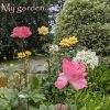My Garden