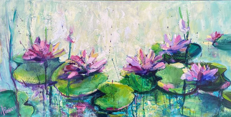 Pink waterlilies