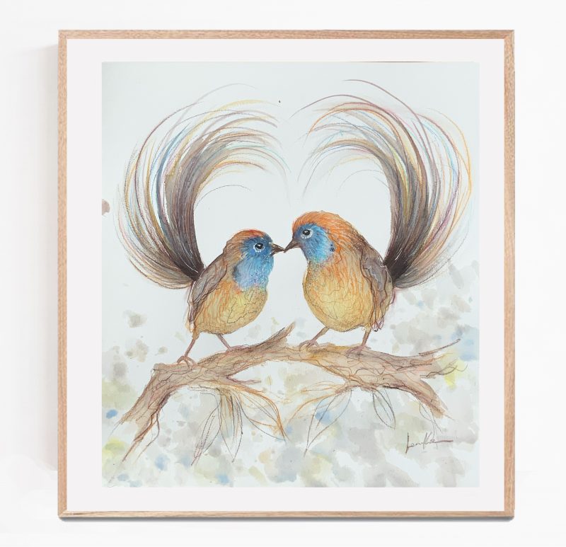 Emu Wren Love