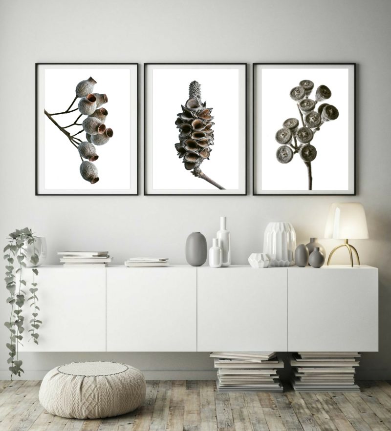 Seed Pods Triptych