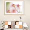 Abstract Pink Gum Blossoms Framed Print Bernadette Meyers Art Lovers Australia