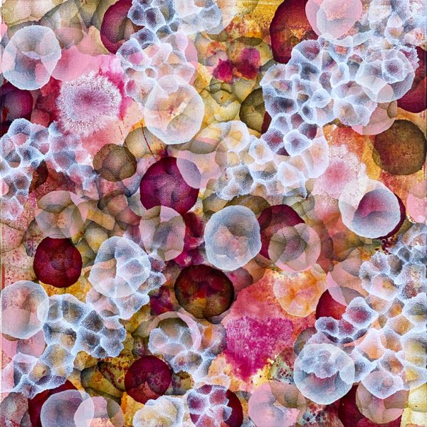 Bio Bloom Reef Flow Iv Bfe