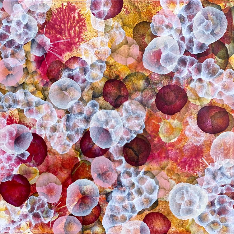 Bio Bloom Reef Flow V