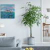 Bright Living Room With Large Plant