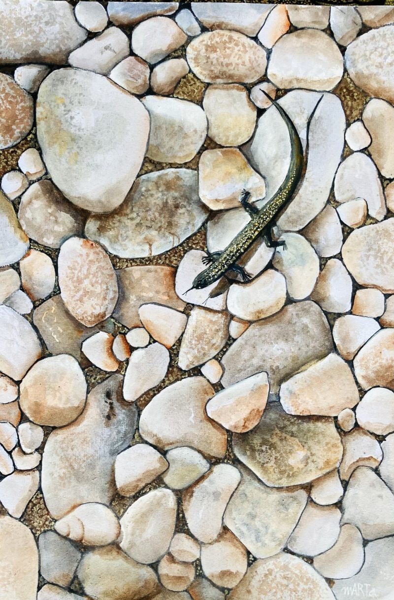 My Pebble Collection