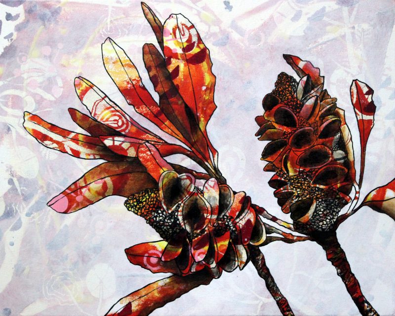 Late Afternoon Sun Through the Banksias