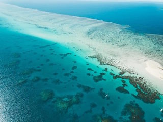 Large Abstract Wall Art