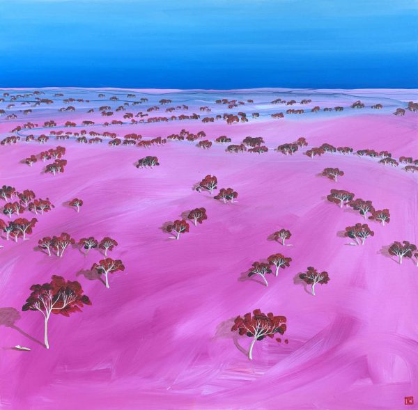 Tania Chanter Blush Australian Art