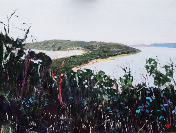 View From The Barrenjoey Track.