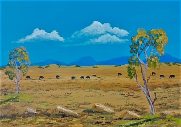 Cattle On The Planes 70x50