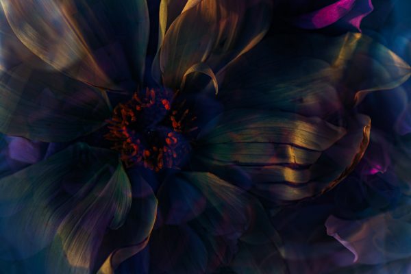 Melissajane Images 4