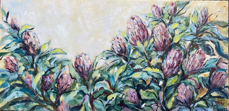 Proteas