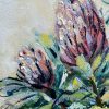 Proteas 6