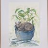Sydney Artist Leni Kae Cat Commission Watercolour