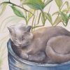 Sydney Artist Leni Kae Cat Watercolour Custom Art