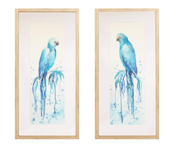 Sydney Artist Leni Kae Spixmacawpair Art