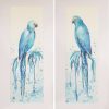 Sydney Artist Leni Kae Spix’s Macaws Pair Matt Mounts
