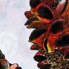 Two Banksias Detail