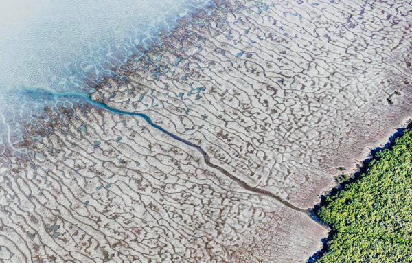 170127007 10158490998527885 3592093631840438017 N