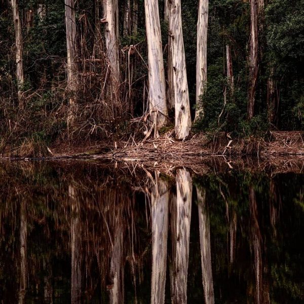 175467366 10158512593337885 6146303124561083759 N