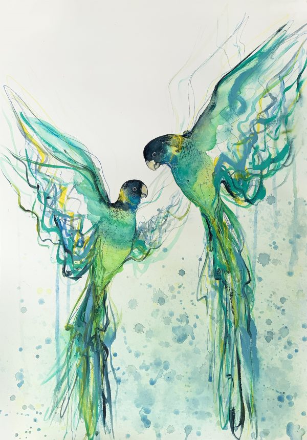 2a.sydney Artist Leni Kae Dance Of The Australian Ring Necks Watercolour Bird Painting