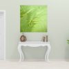 Fern Frond Canvas Print Bernadette Meyers Art Lovers Australia