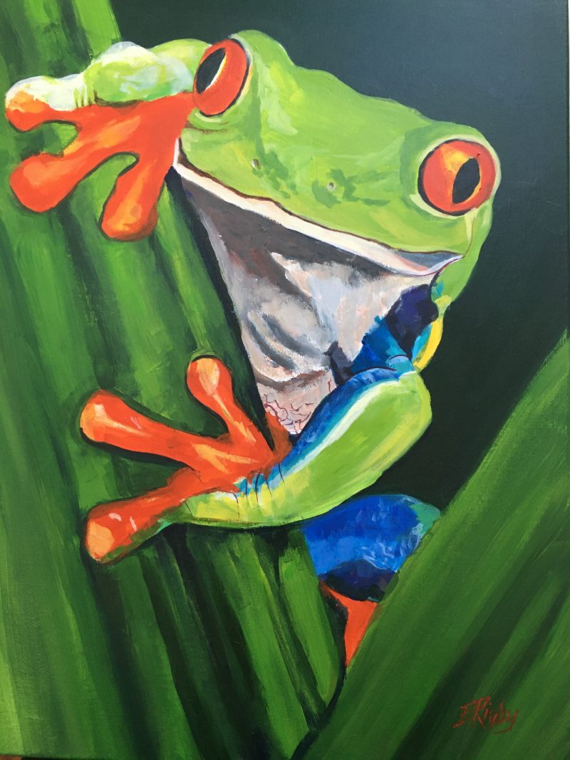 Red-Eyed Tree Frog