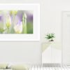 Lisianthus Buds Framed Print Bernadette Meyers Art Lovers Australia