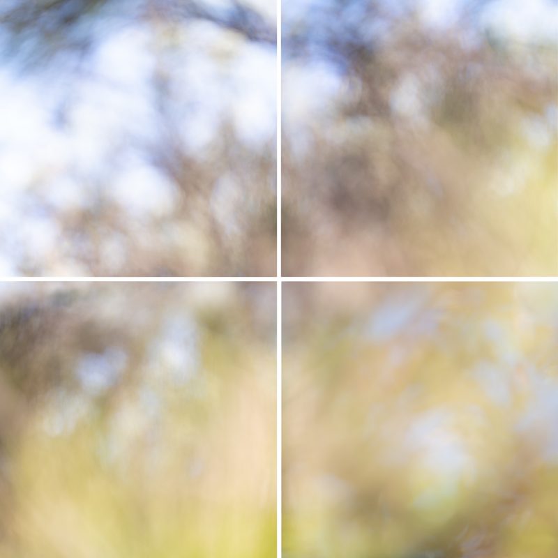 Persuasions of Light — Ltd Ed Print