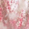Veils Of Blossoms 1