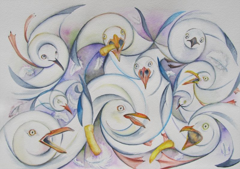 Do Not Feed The Birds