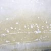 Distant Cheryl Harrison D