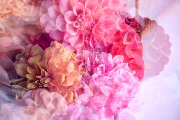 182910906 10158549751502885 6510548023902288191 N