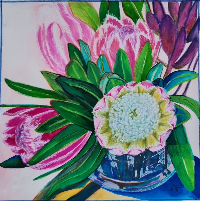 Proteas